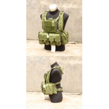 TMC MOLLE RRV Plate Carrier with Pouch OD